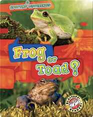Spotting Differences: Frog or Toad?