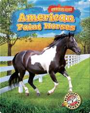 Saddle Up!: American Paint Horses