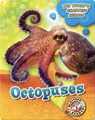The World's Smartest Animals: Octopuses