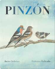 Pinzón
