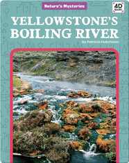 Nature's Mysteries: Yellowstone's Boiling River