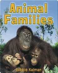 Animal Families