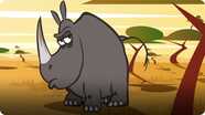 I'm a Black Rhinoceros