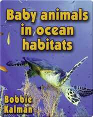 Baby Animals in Ocean Habitats