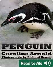 Penguin