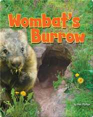 Wombat's Burrow