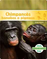 Chimpancés bonobos
