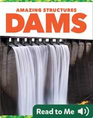 Amazing Structures: Dams
