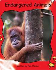 Endangered Animals