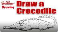 How to Draw a Crocodile