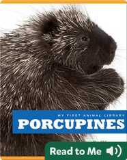 My First Animal Library: Porcupines