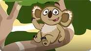 I'm a Koala