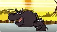 I'm a Hippo