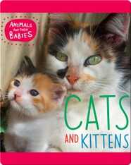 Cats and Kittens