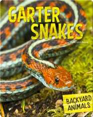 Garter Snakes