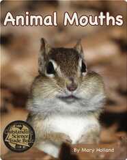 Animal Mouths