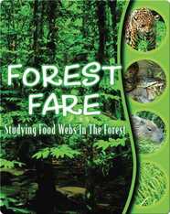 Forest Fare: Studying Food Webs In The Forest