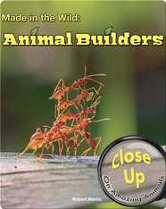 Made in the Wild: Animal Builders