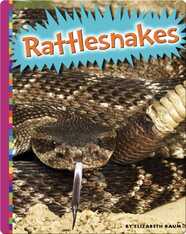 Rattlesnakes