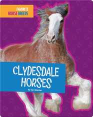 Clydesdale Horses