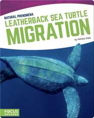 Natural Phenomena: Leatherback Sea Turtle Migration