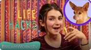 Dog Hacks I LIFE HACKS FOR KIDS