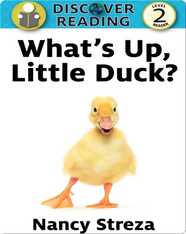 What's Up Little Duck