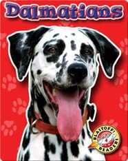 Dalmatians: Dog Breeds