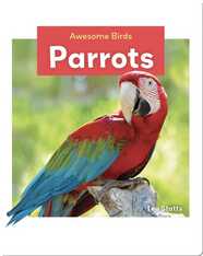 Parrots