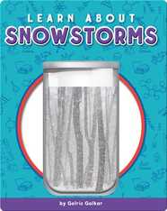 Learn About Snowstorms