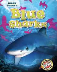 Shark Frenzy: Blue Sharks
