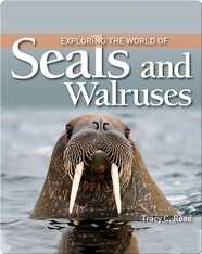 Exploring the World of Seals and Walruses