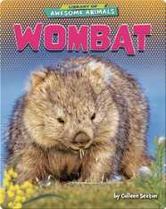 Awesome Animals: Wombat