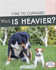 Time to Compare!: Which Is Heavier?