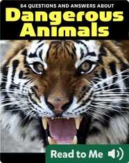 64 Questions & Answers About Dangerous Animals