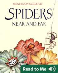Spiders Near and Far