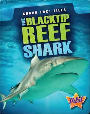 Shark Fact Files: The Blacktip Reef Shark