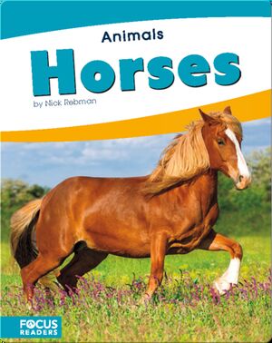 Animals: Horses