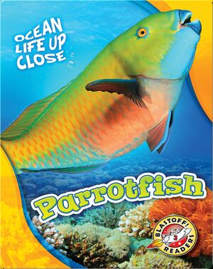 Ocean Life Up Close: Parrotfish