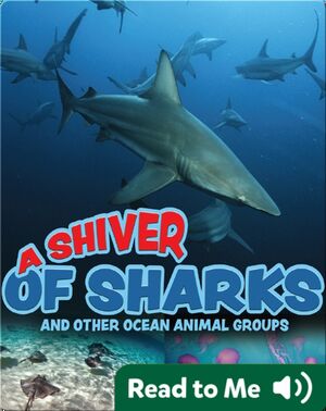 A Shiver of Sharks