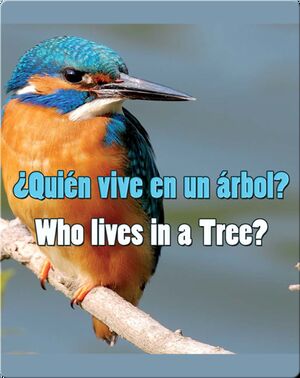 Quien Vive En Un Arbol?  (Who Lives In A Tree?)