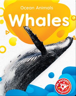 Ocean Animals: Whales