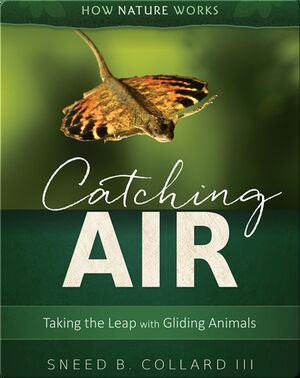 Catching Air: Taking the Leap with Gliding Animals