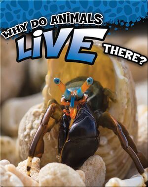 Why Do Animals Live There?