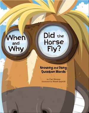 When and Why Did the Horse Fly: Knowing and Using Question Words