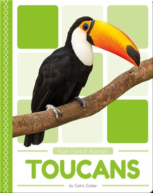 Rain Forest Animals: Toucans