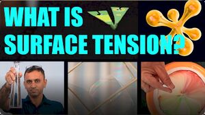 d'Art of Science: What is Surface Tension?