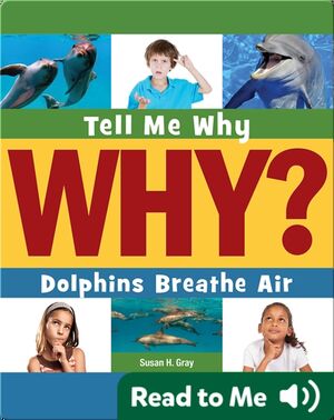 Dolphins Breathe Air
