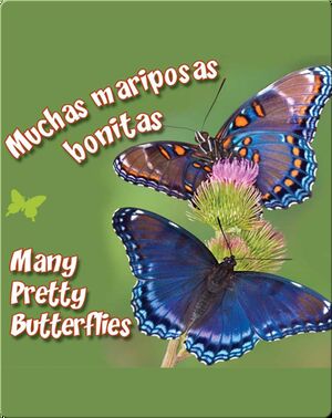 Muchas Mariposas Bonitas  (Many Pretty Butterflies)