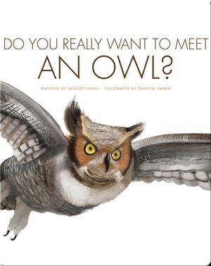 Do You Really Want to Meet an Owl?